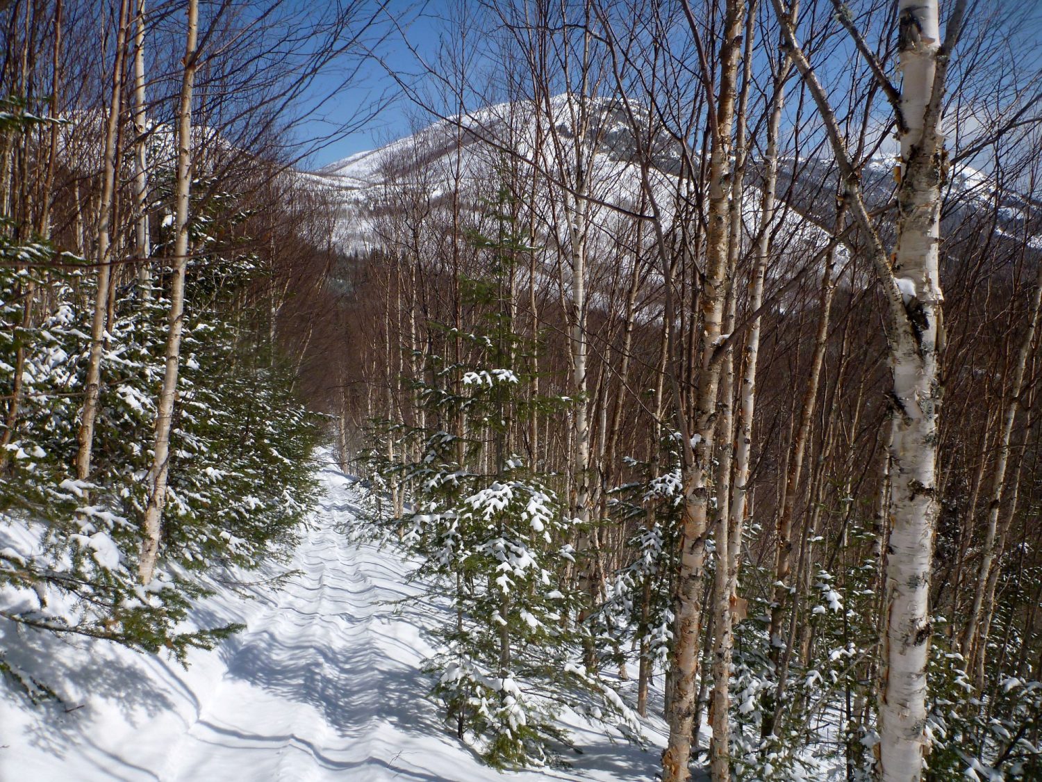 Ski de randonnée nordique Demie-Traversée de Charlevoix