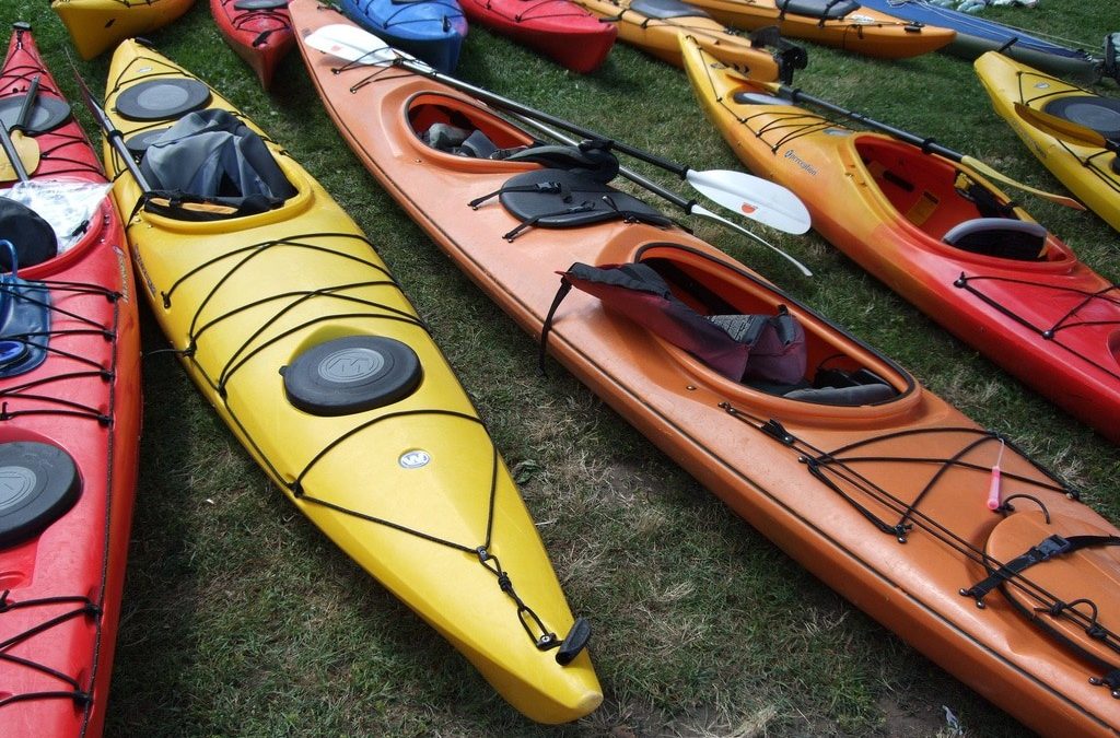 Offre d’emploi : Guide de kayak de mer